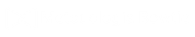 logo metodologia bowtie